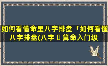 如何看懂命里八字排盘「如何看懂八字排盘(八字 ☘ 算命入门级教程)精 🌸 编版」